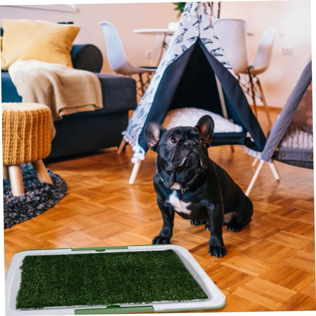 🐾 Puppy Potty Training Pad – Washable & Reusable