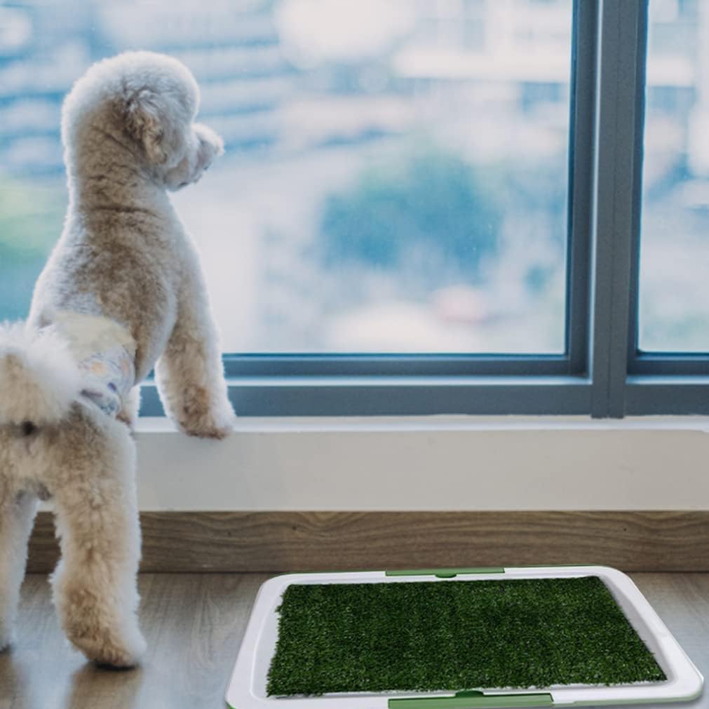 🐾 Puppy Potty Training Pad – Washable & Reusable