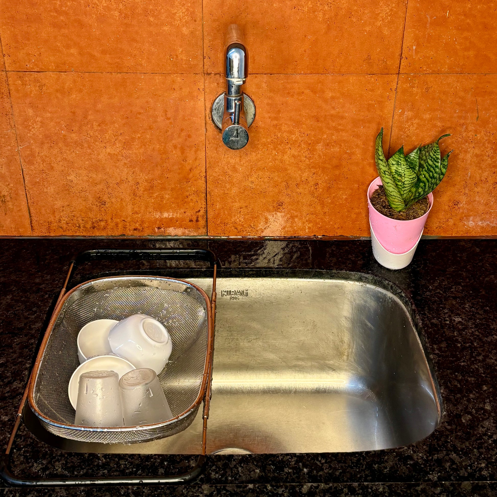 Stainless Steel Colander Oval