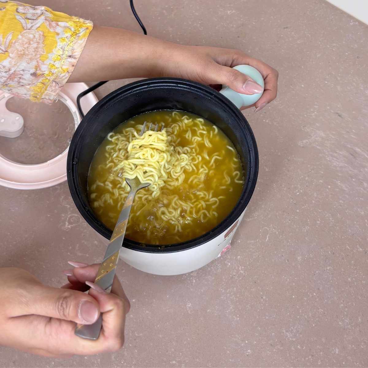Electric Mini Cooking Pot