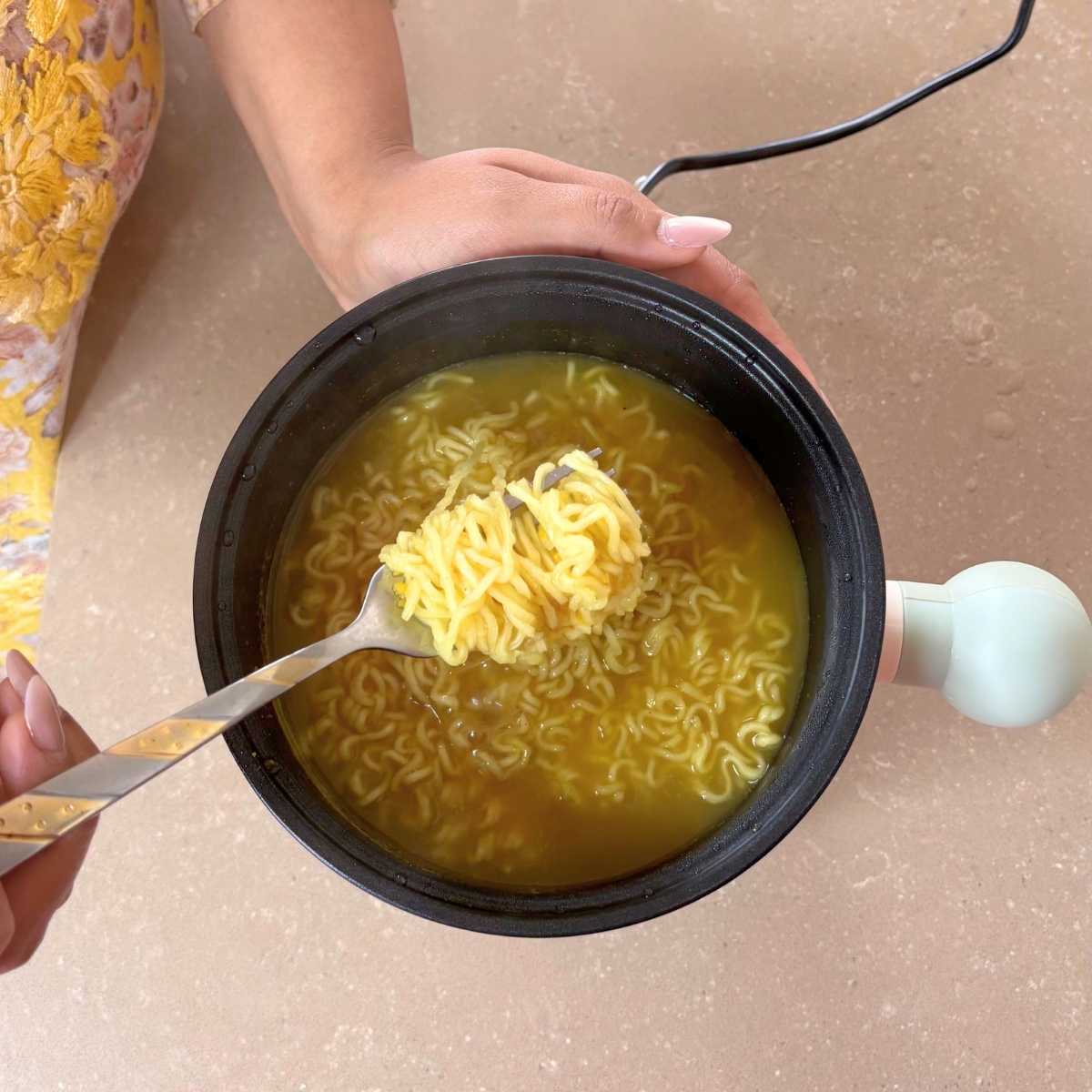 Electric Mini Cooking Pot